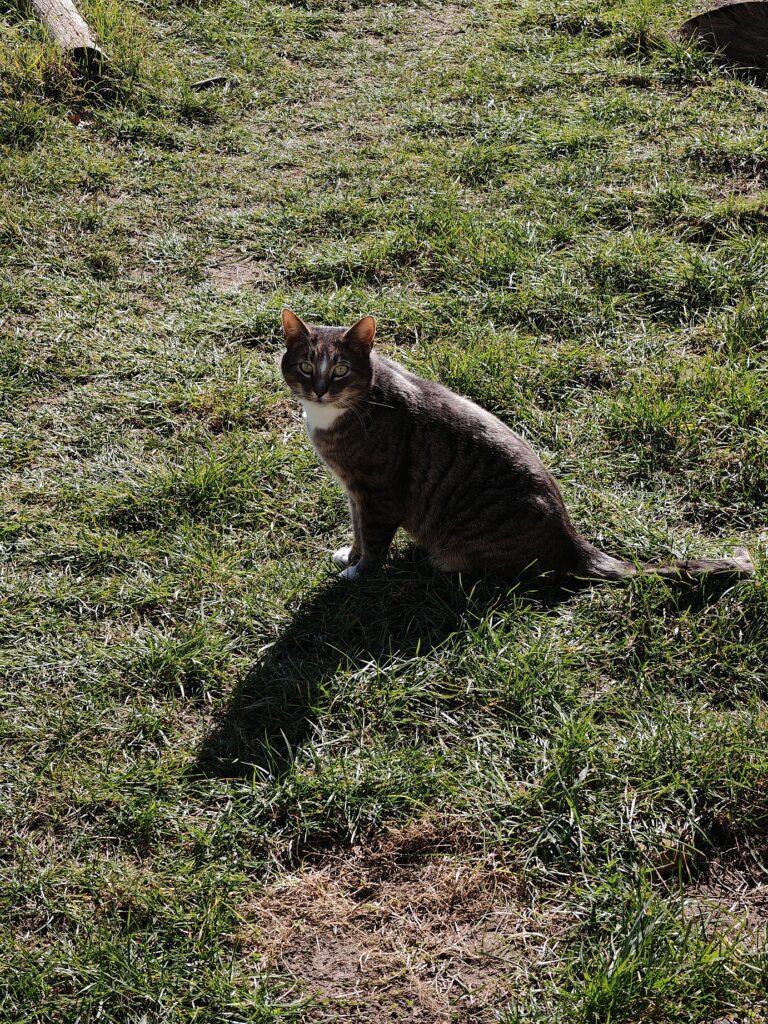 Graupelz Garten Frühling Selbstversorgung