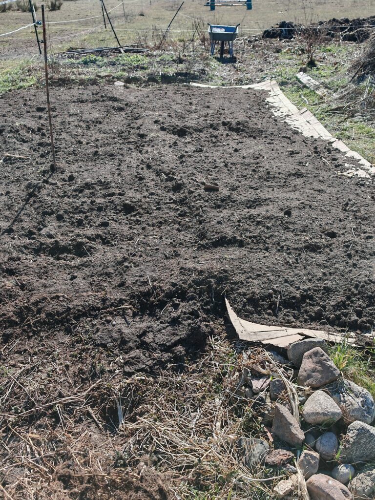 Kompostbeete Garten Selbstversorgung Gemüse Frühling Saat Pflanzen